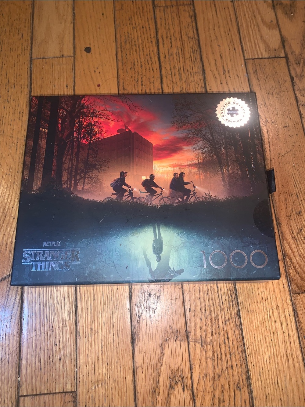 Stranger things 1000 Buffalo piece puzzle